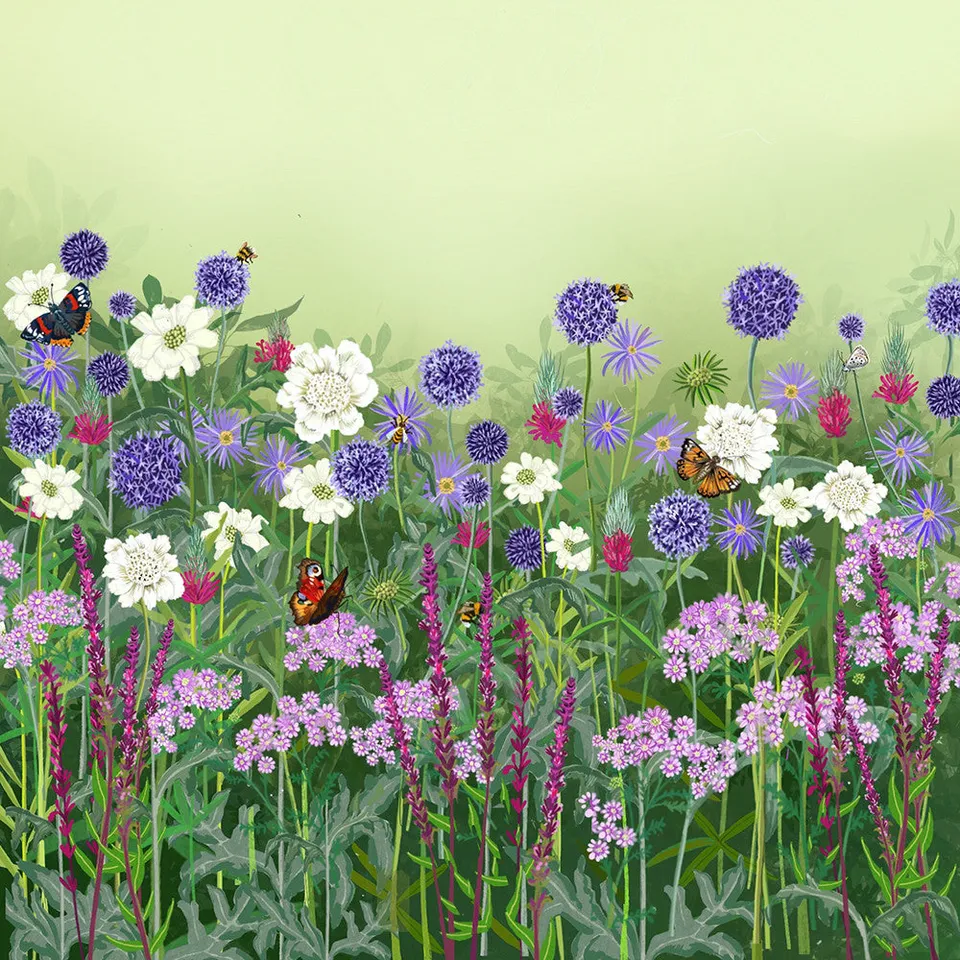 Sarah Raven Plants Loved by Pollinators Stauden 18x 9cm Bienenmischung