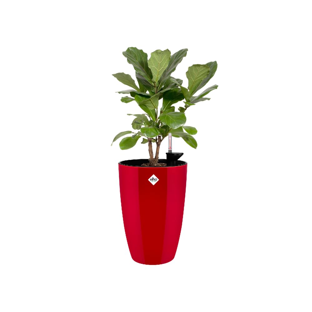 elho Brussels Diamond Rund Hoch 32 Blumentopf Lovely Rot Kunststoff