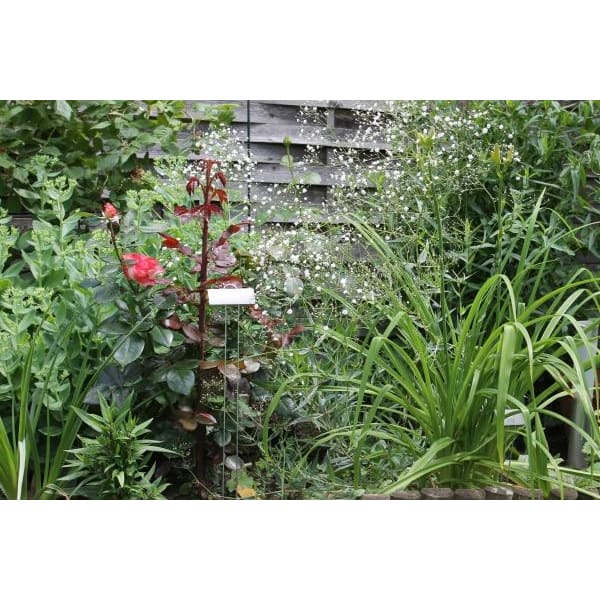 GardenMate Pflanzschilder Poster XL Metall Pflanzstecker 55 cm 25er Set