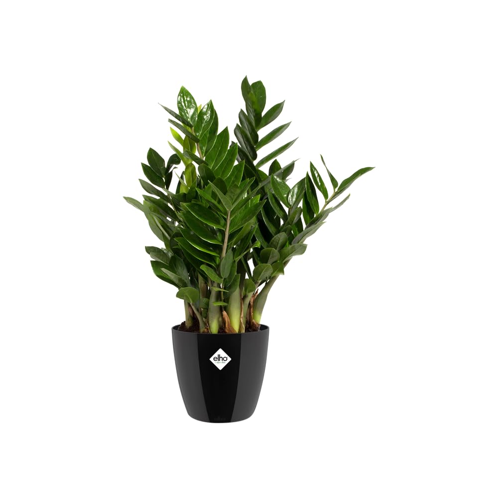 elho Brussels Blumentopf 22cm schwarz metallic rund für innen