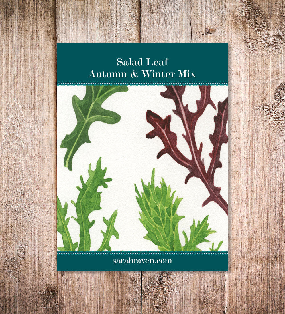 Sarah Raven Seeds Salad Leaf Autumn Winter Mix Samen 500 Samen winterhart