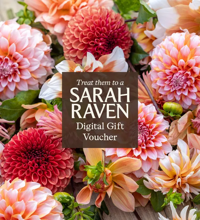 Sarah Raven Gardening Lifestyle Geschenkgutschein digital 50 Euro