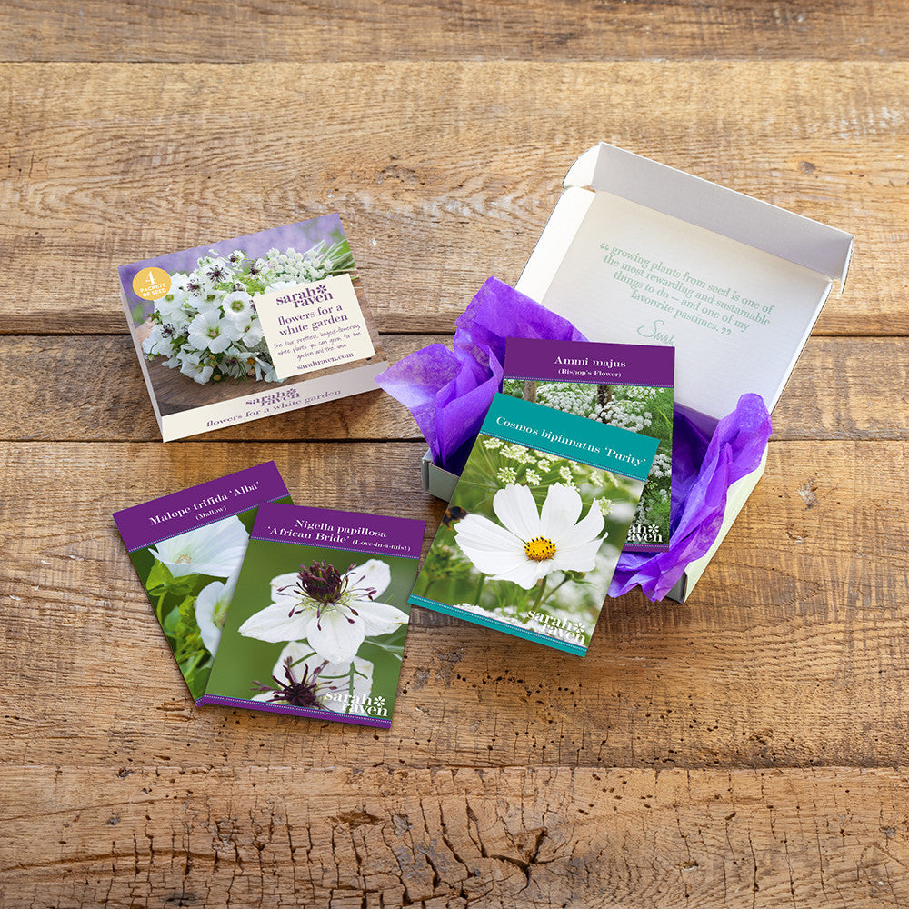Sarah Raven Seeds White Garden Blumensamen Geschenkbox 4 Tüten weiß