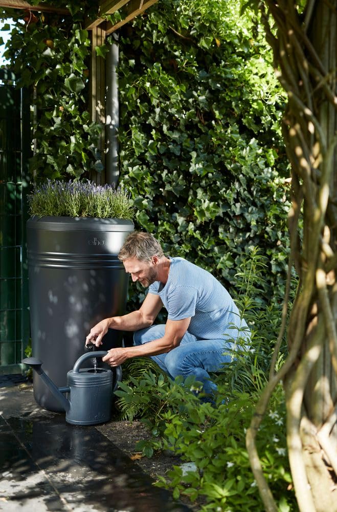 elho Green Basics Rainbarrel Regentonne 200L Living Black