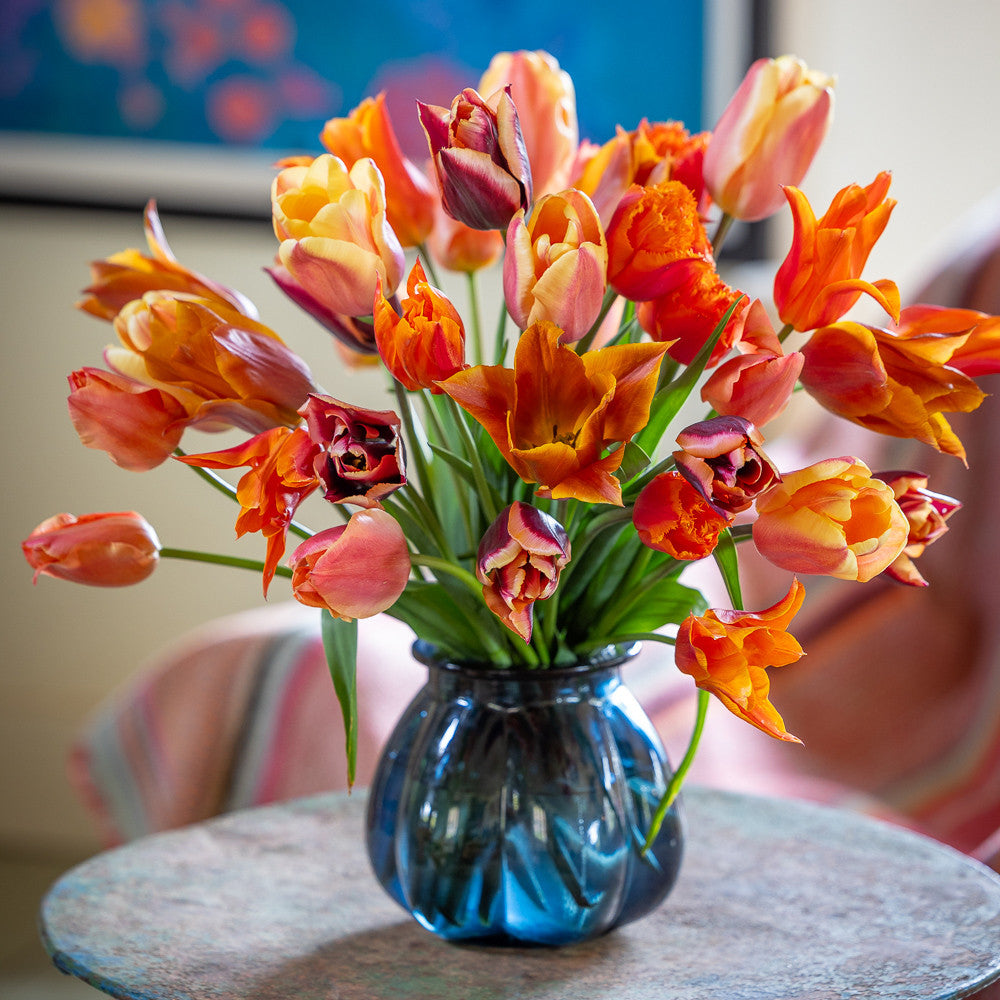 Sarah Raven Bulbs Best Orange Tulip Blumenzwiebeln 25 Stück Schnitt