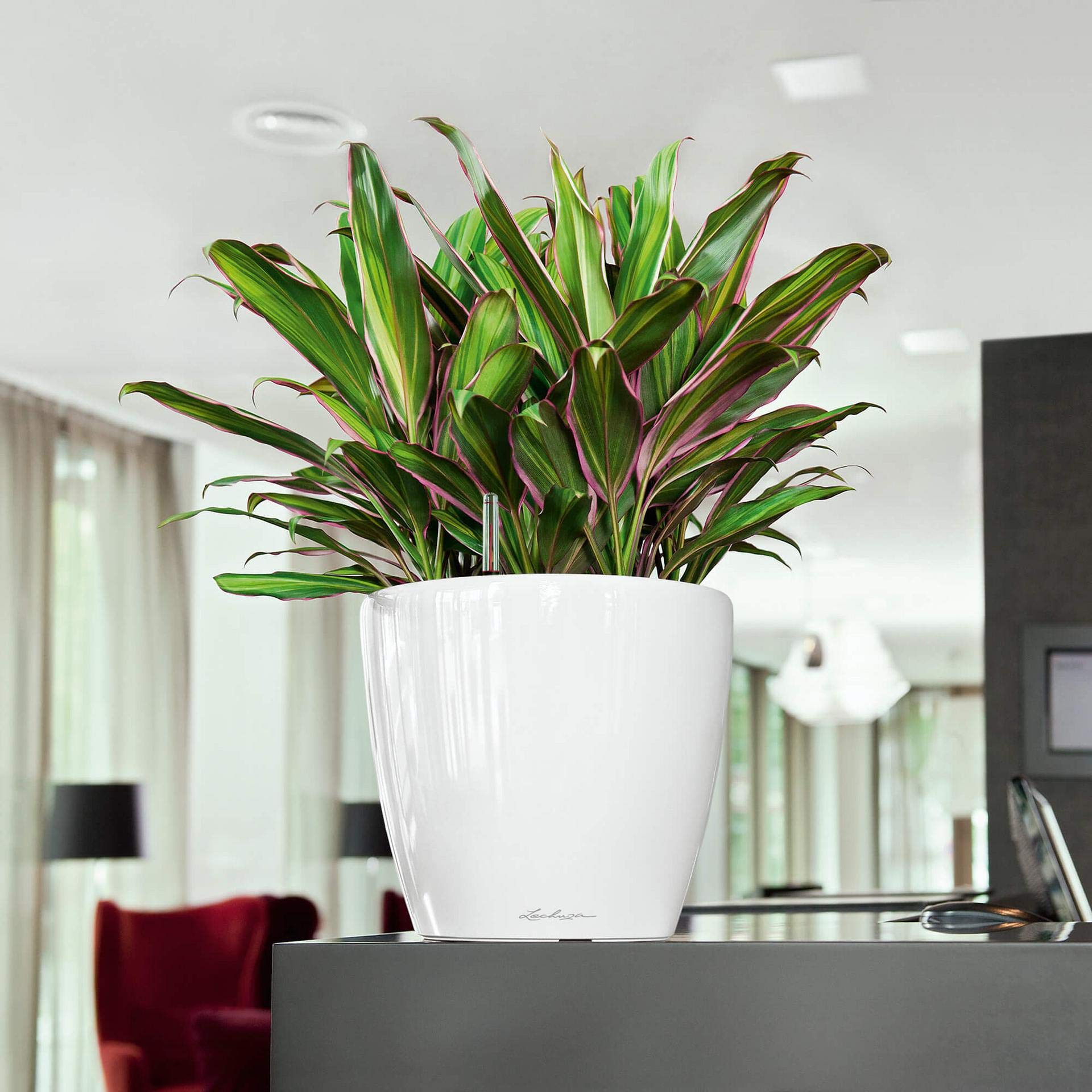 Lechuza Classico Premium LS 28 Blumentopf Silber Metallic