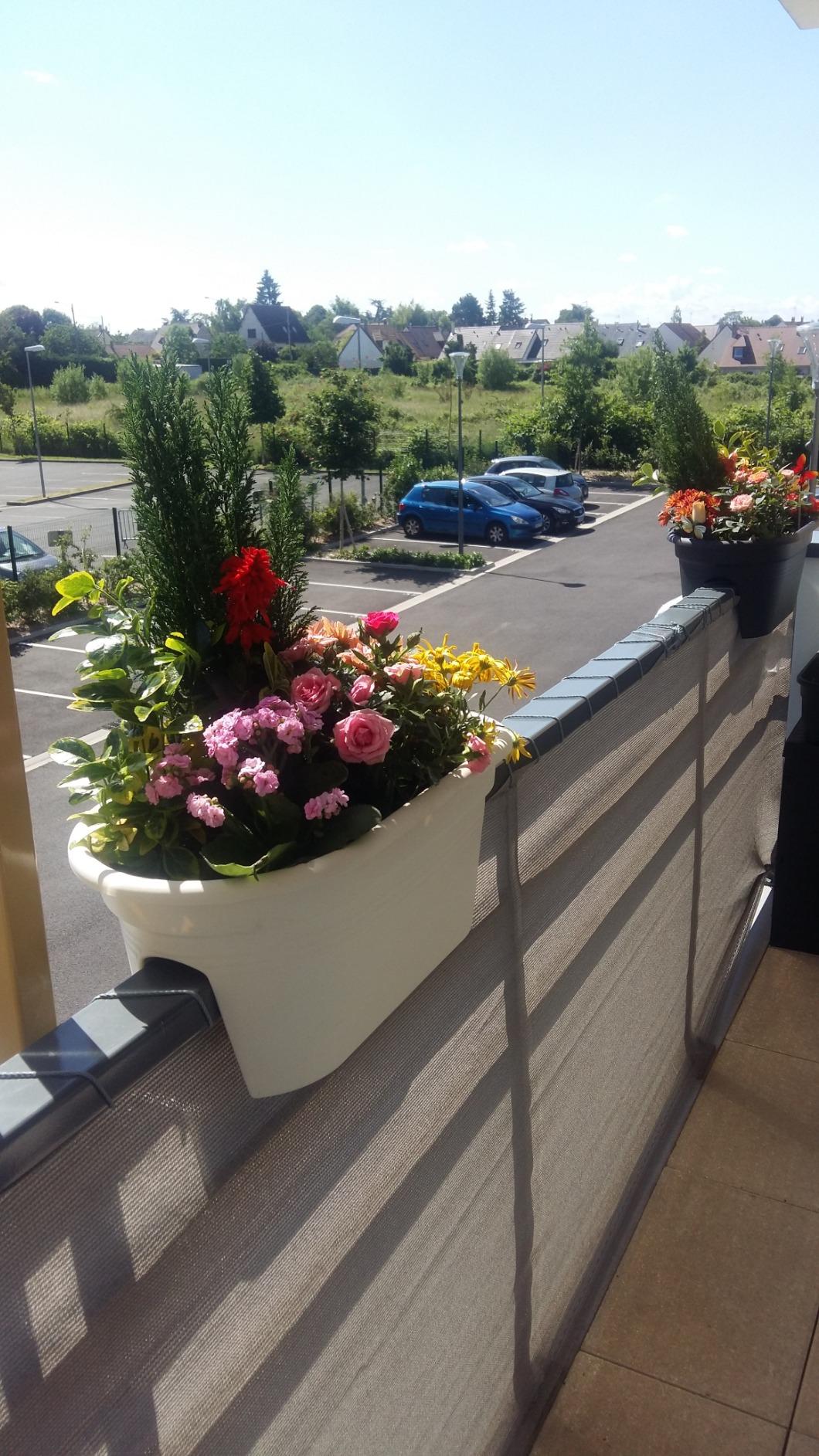 Elho Green Basics Flower Bridge 55 Balkonkasten Baumwoll Weiß