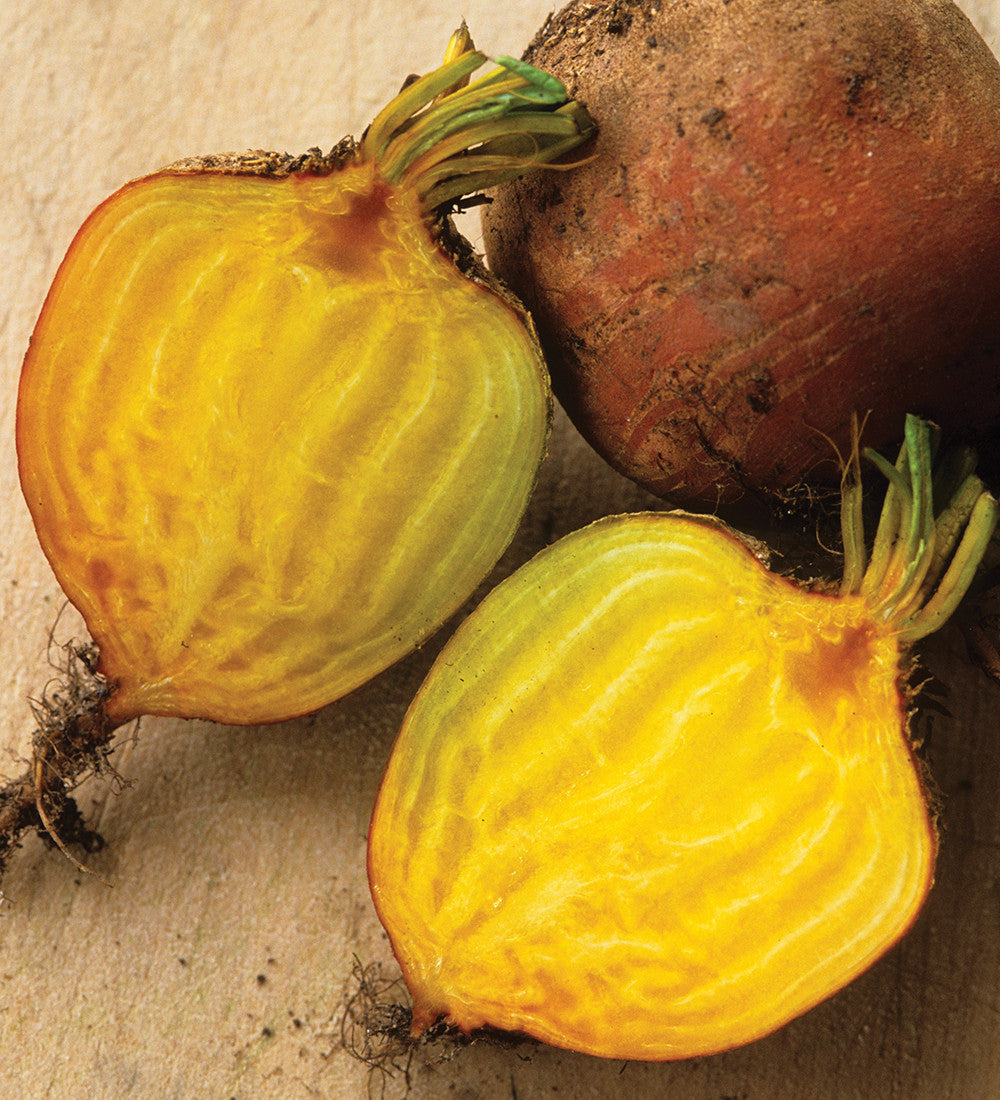 Sarah Raven Seeds Rote Bete Samen Kollektion 3 Packungen
