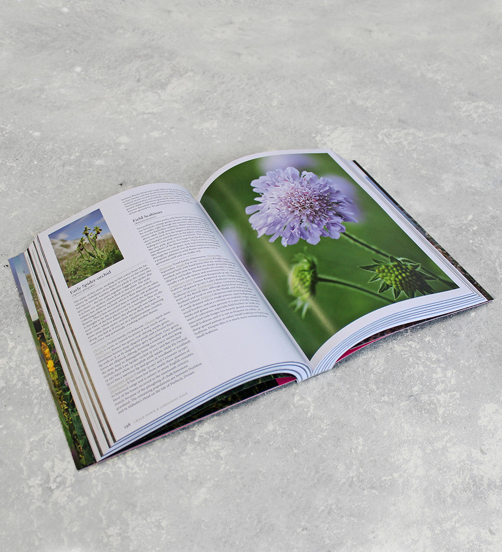 Sarah Raven Gardening Wild Flowers Taschenbuch Signiert 480 Seiten