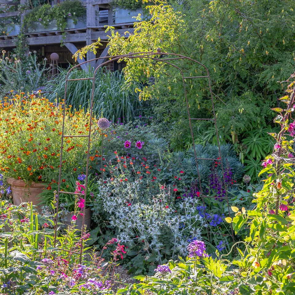 Sarah Raven Fine Arch Rosenbogen Stahl 2m Rustic für Garten