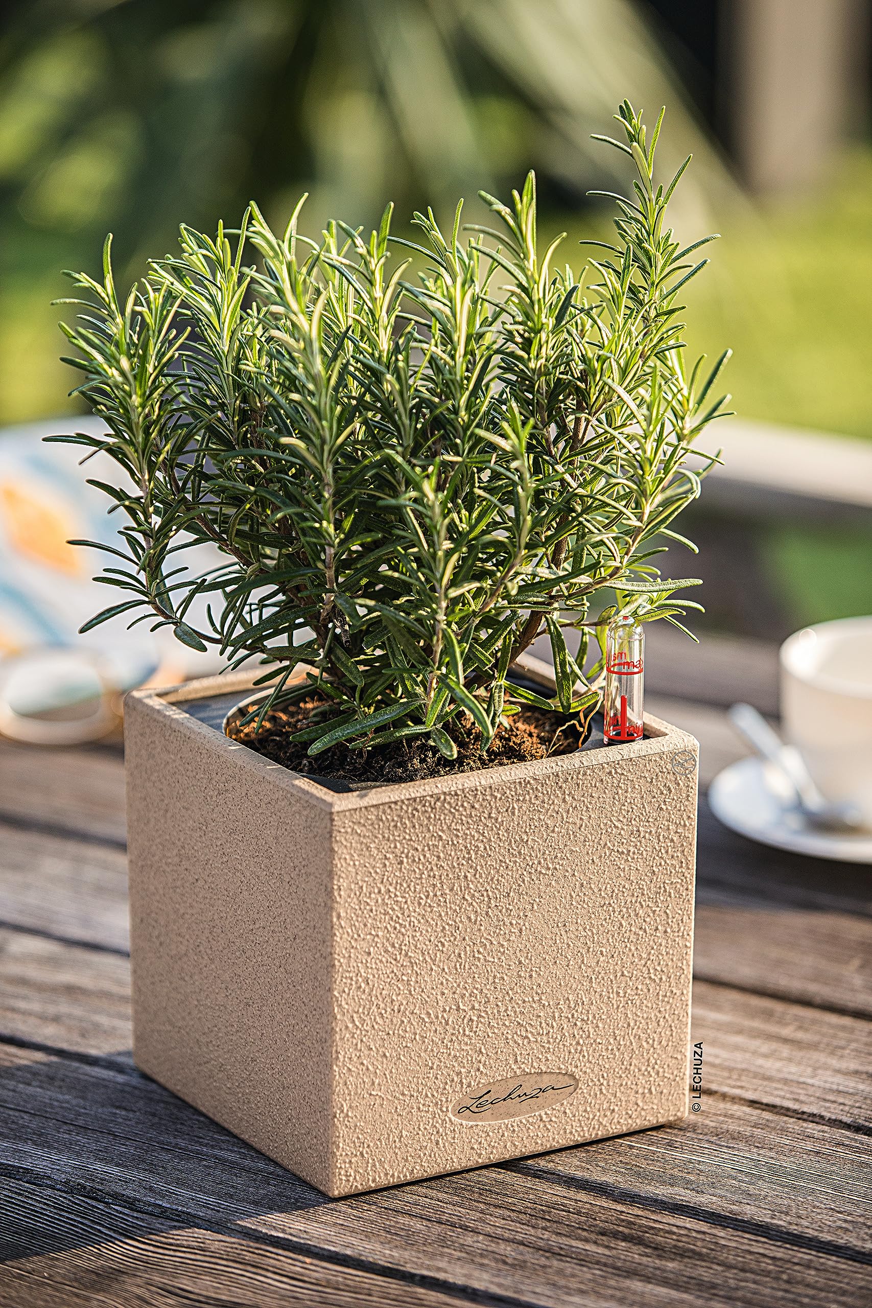 Lechuza Canto Stone 14 Kräutertopf Sandbeige Bewässerung