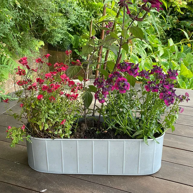 Sarah Raven Gardening Hoxton Fensterkasten Zink 3er Set
