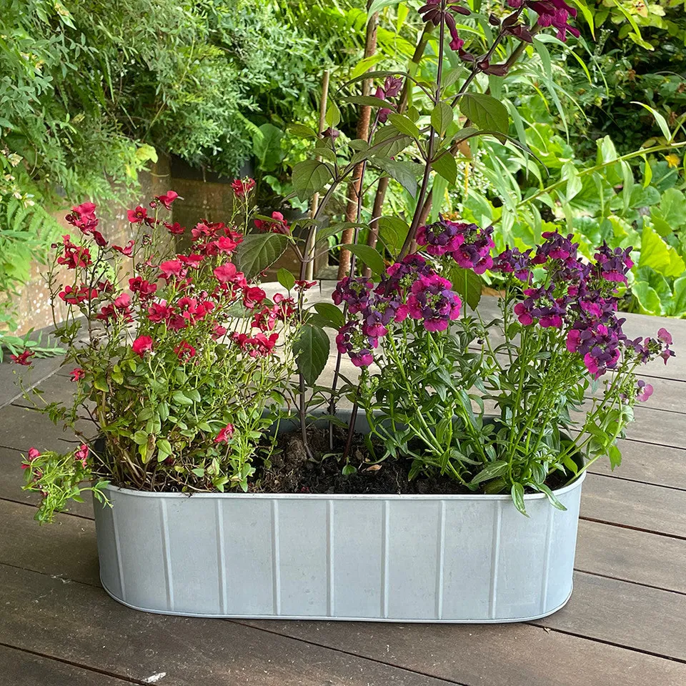 Sarah Raven Gardening Hoxton Fensterkasten Zink 3er Set