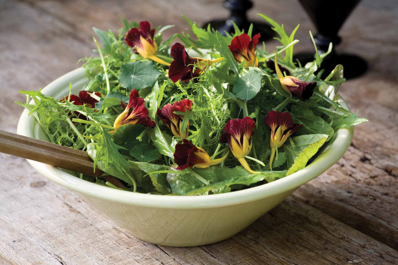 Sarah Raven Seeds Mizuna Samen 500 Stück bio Salatsamen