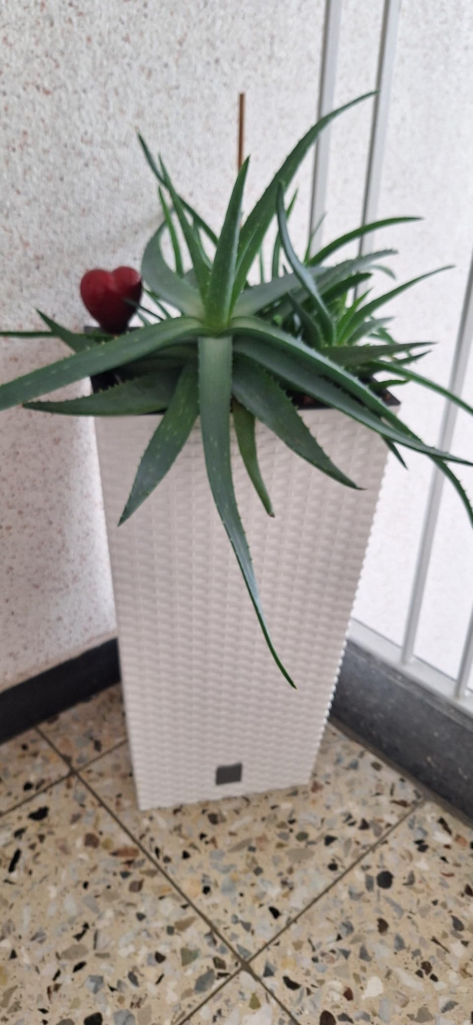 Prosperplast Rato Square Blumentopf Weiß Rattan 26,5x50cm