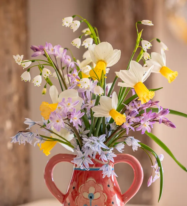 Sarah Raven Bulbs Spring Sherbert Blumenzwiebeln 45 Stück früh