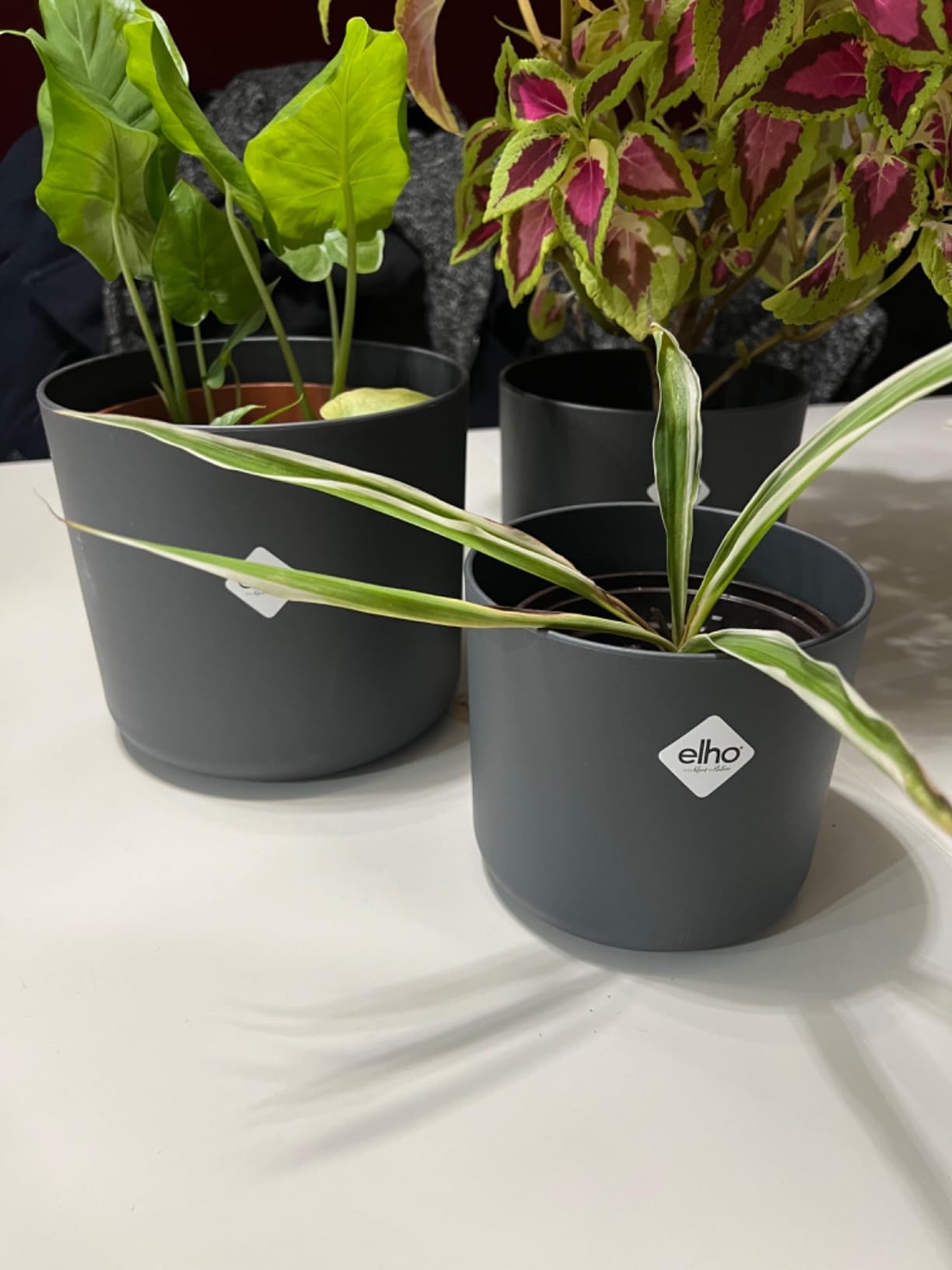 elho B.for Soft Rund Blumentopf 18 Anthracite 3er Set Innen