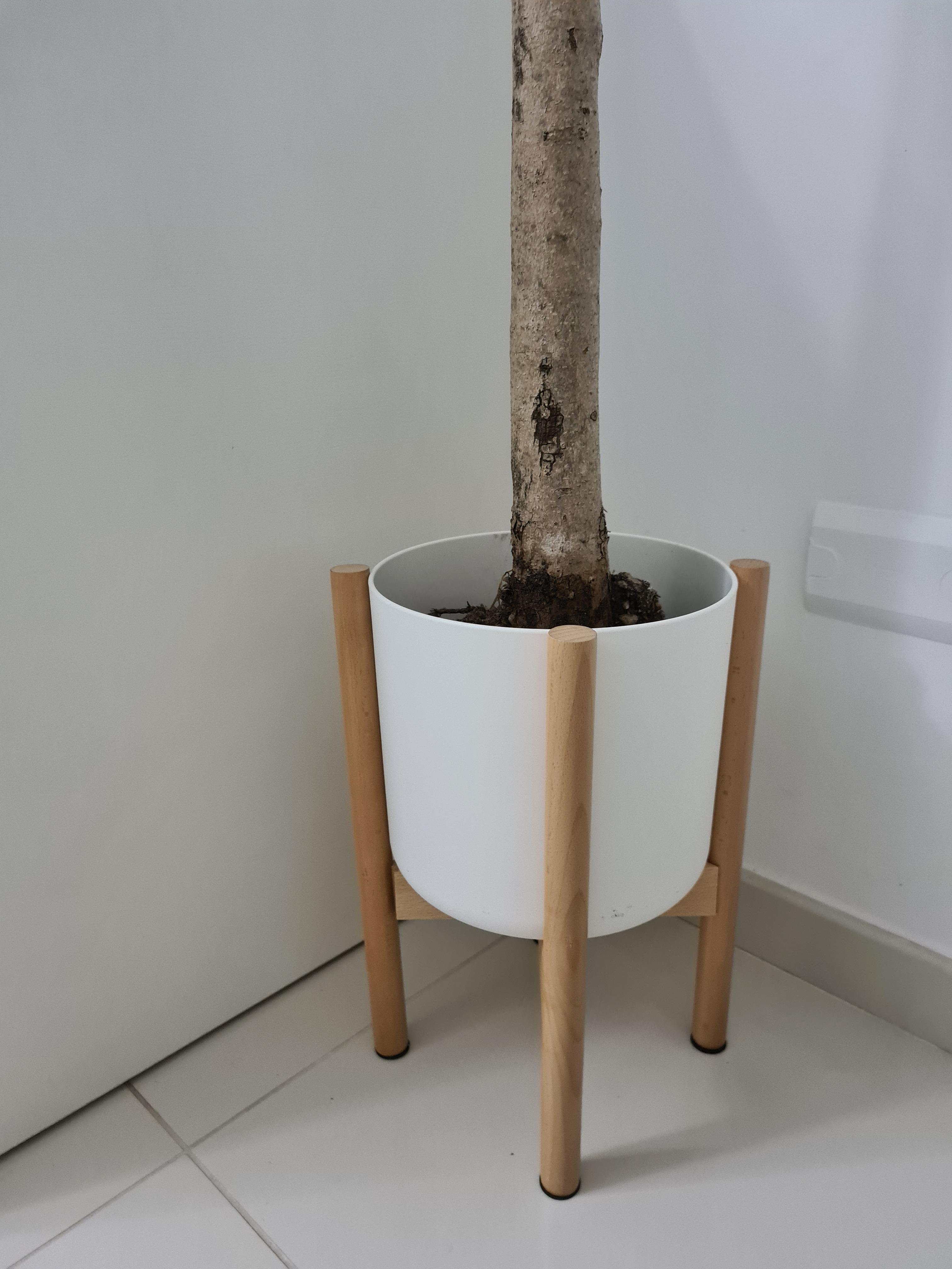 elho B.for Soft Blumentopf 25 cm Anthracite recycelt