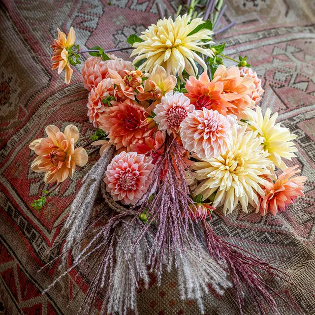 Sarah Raven Tapestry Dahlienknollen 4 Knollen apricot