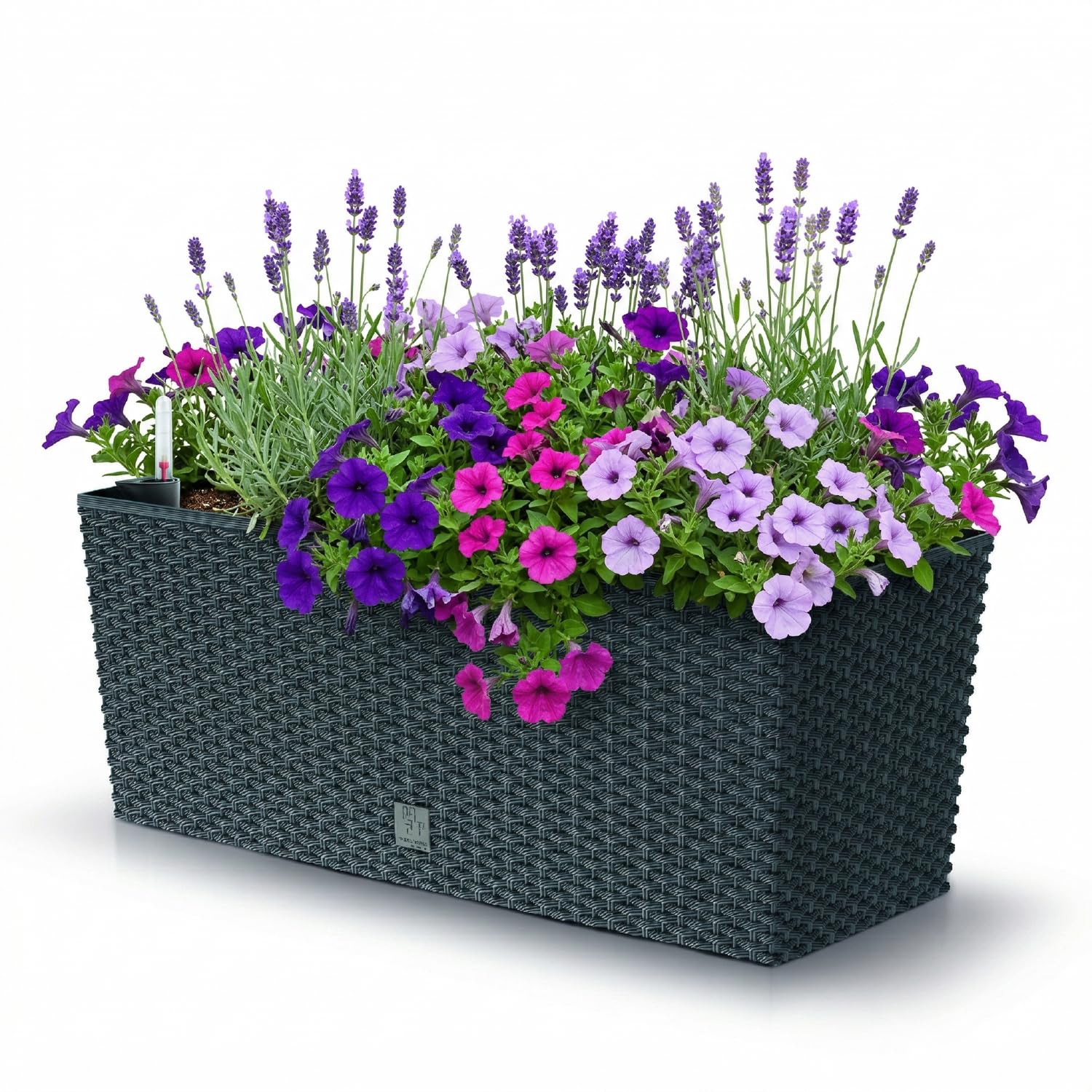 Prosperplast Rato Case Blumenkasten anthrazit 17L Bewässerung