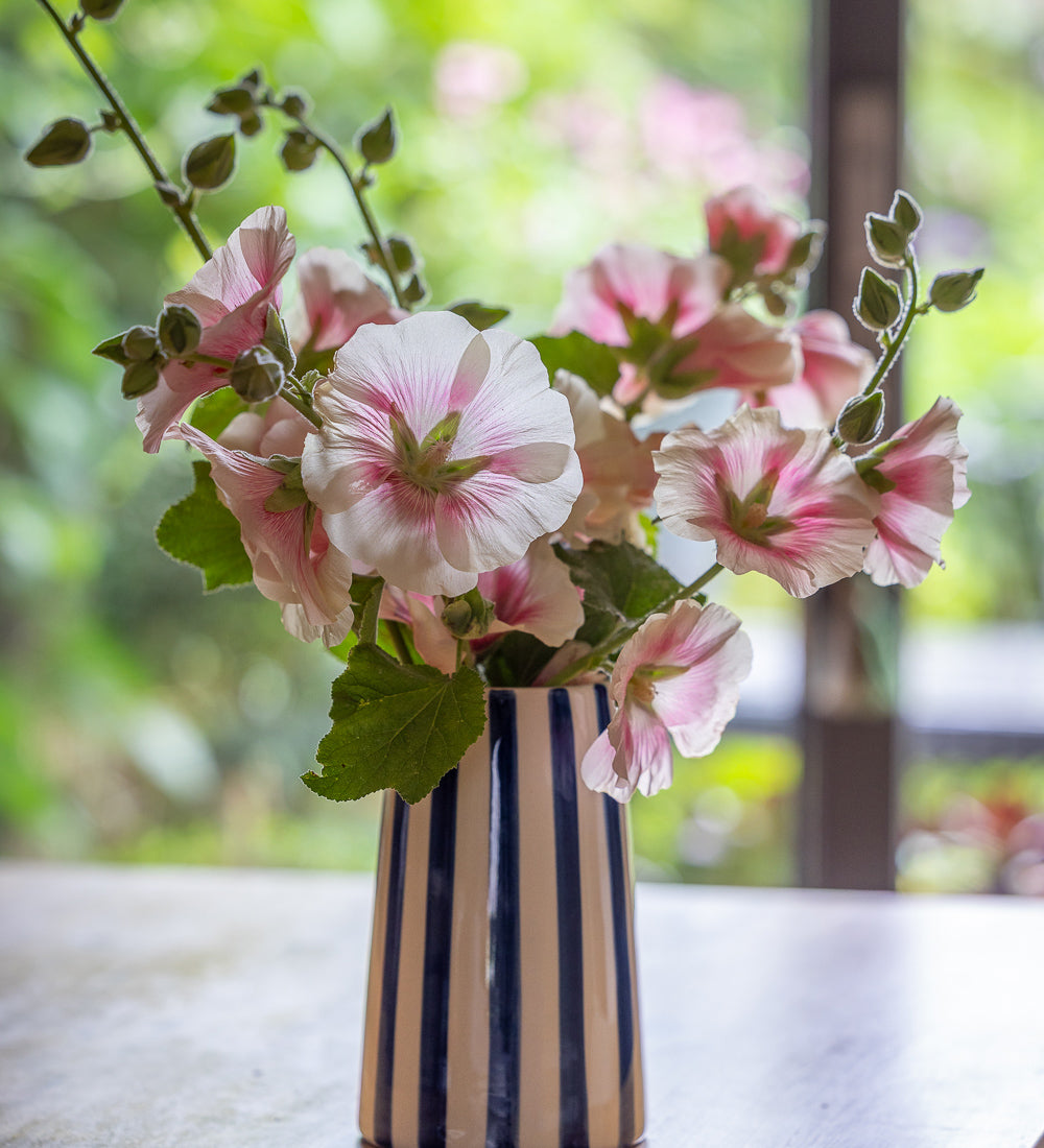 Sarah Raven Plants Alcea Halo Blush Stockrose 3x9cm rosa