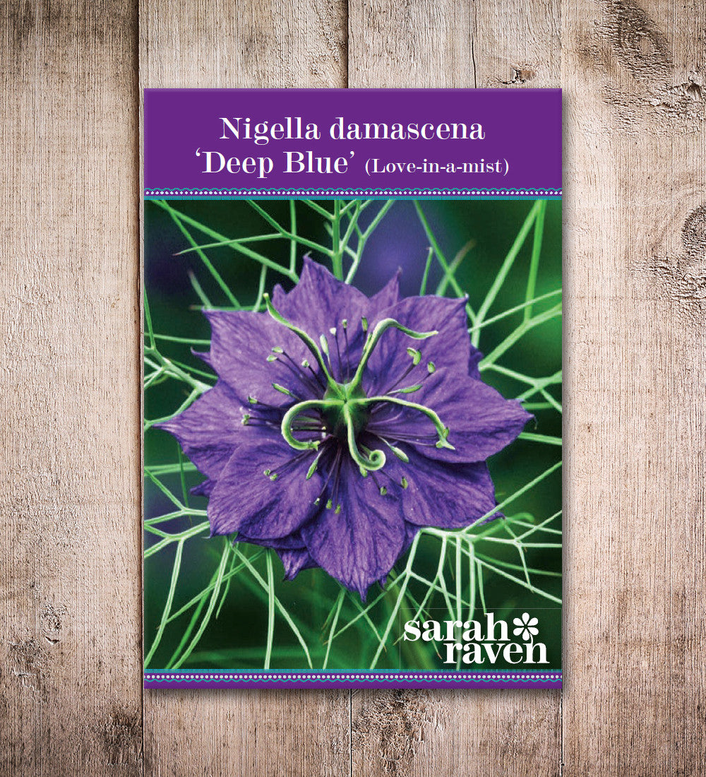 Sarah Raven Seeds Nigella Deep Blue Samen 400 Stück blau