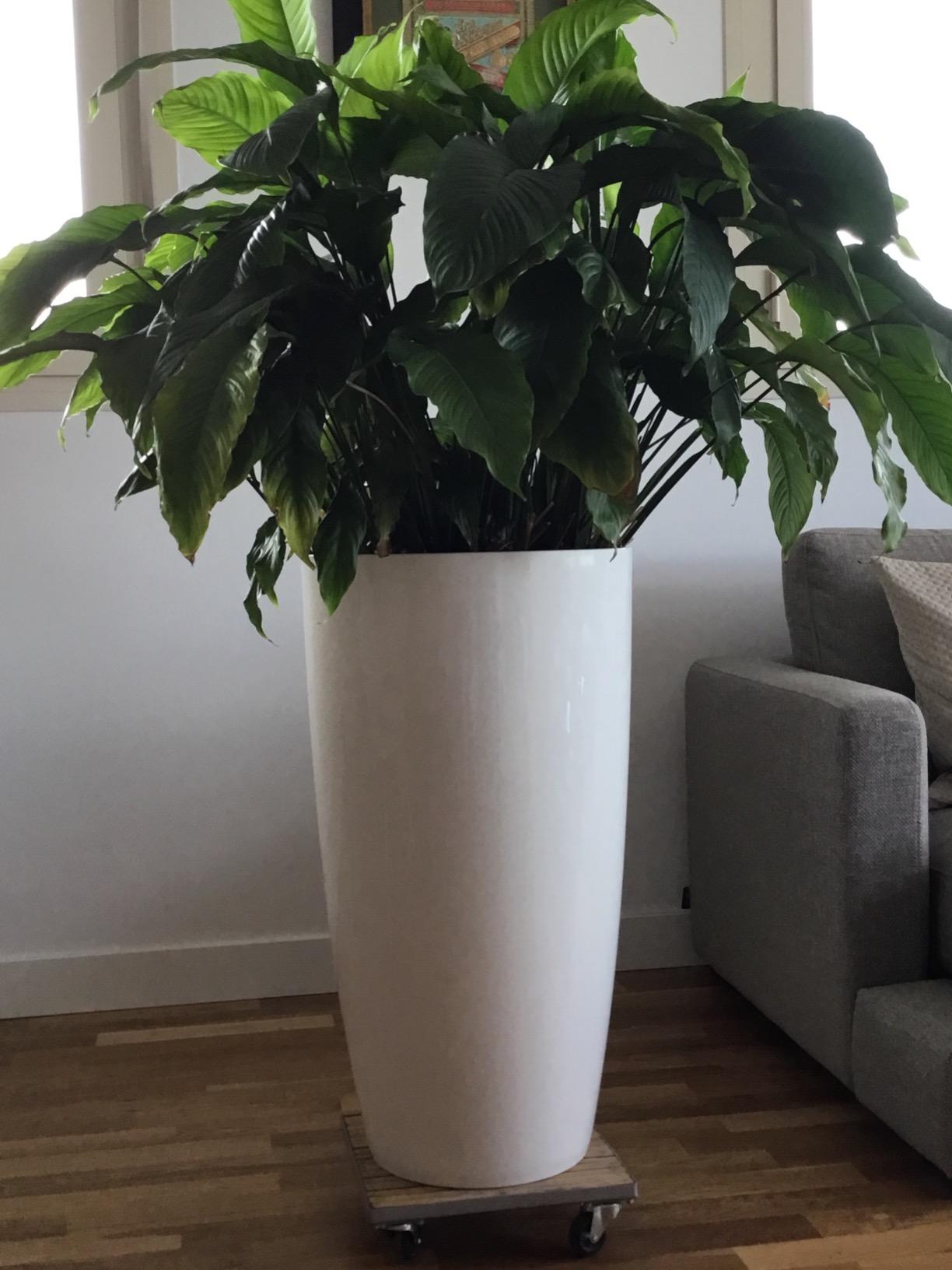 elho Brussels Diamond Blumentopf Hoch 27 Schwarz Metallic Ø27