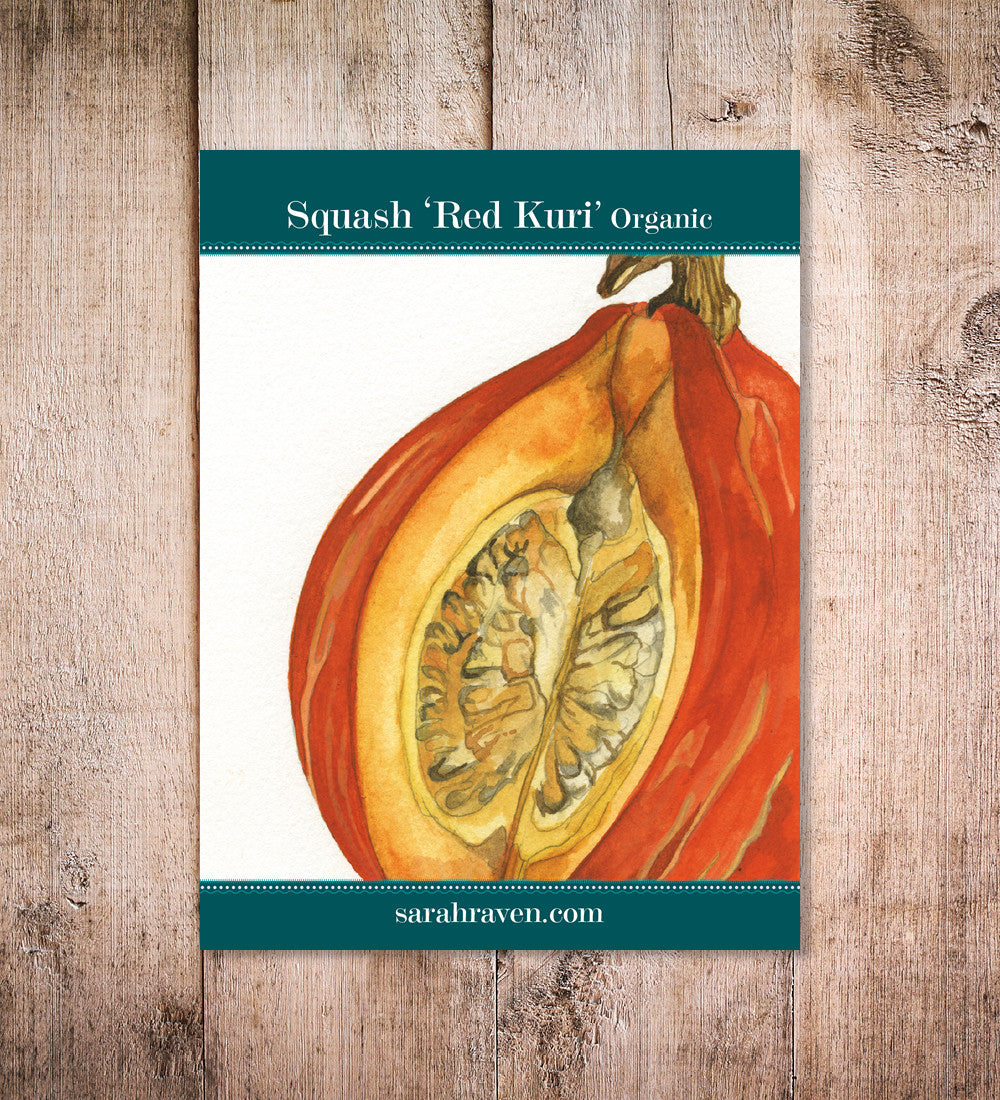 Sarah Raven Seeds Kürbis Uchiki Kuri Saatgut 20 Samen bio süß