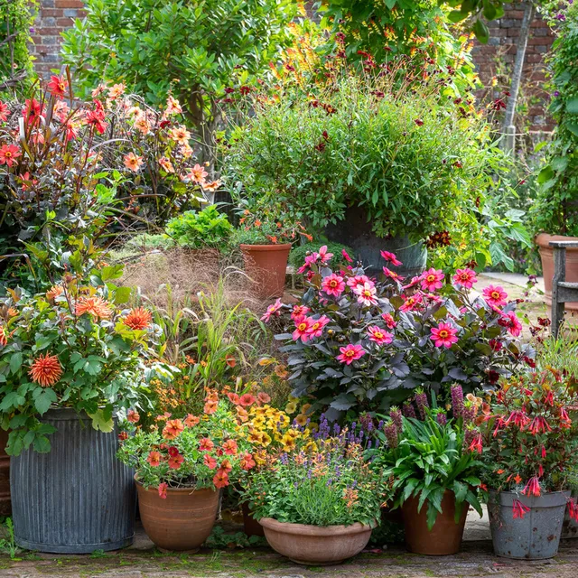 Sarah Raven A Year Full of Pots Gartenkurs 24. September