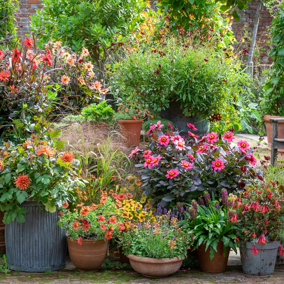 Sarah Raven A Year Full of Pots Gartenkurs 24. September