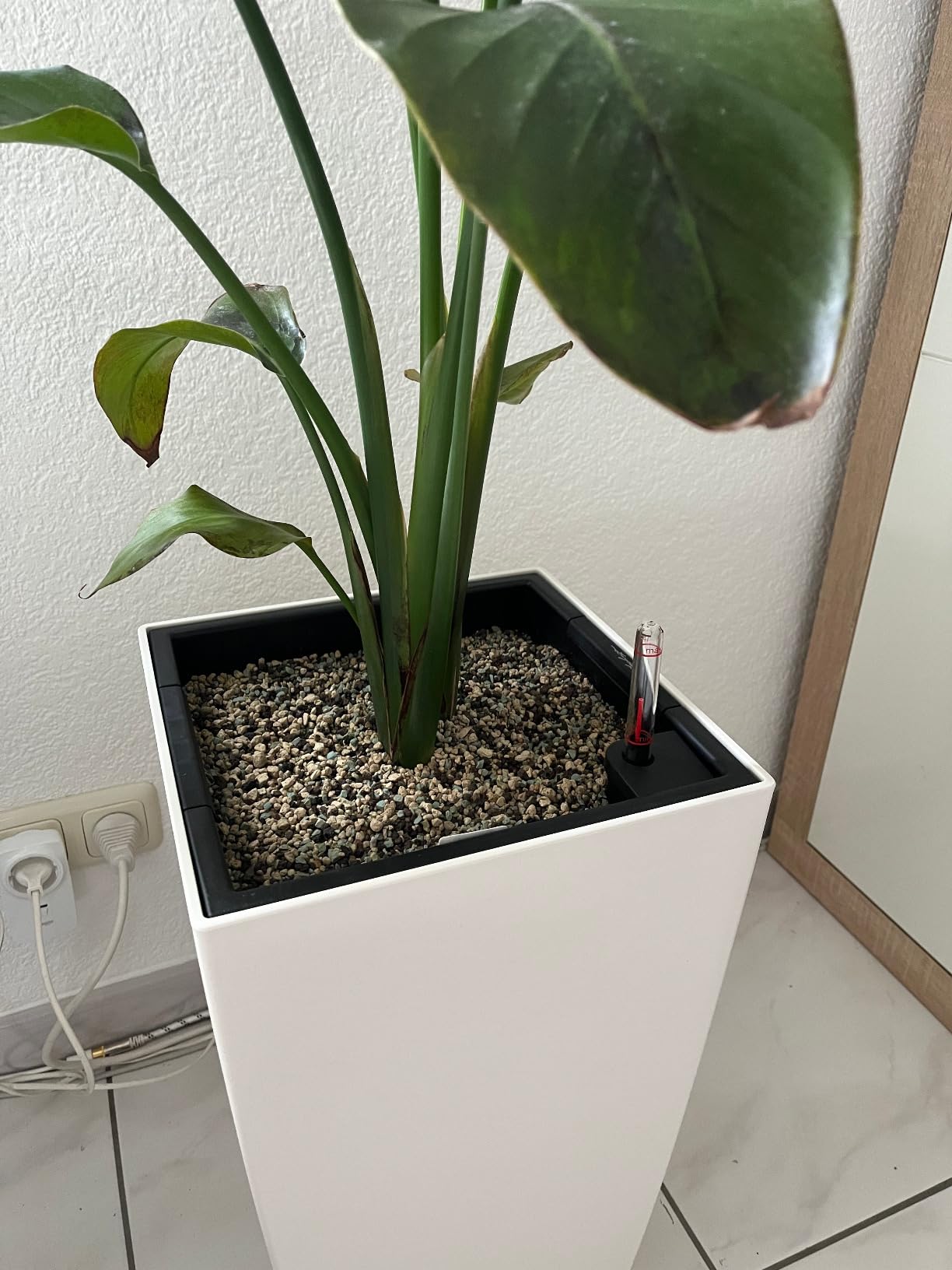 Lechuza Cubico Color 30 Pflanzgefäß Sandbraun mit Bewässerung