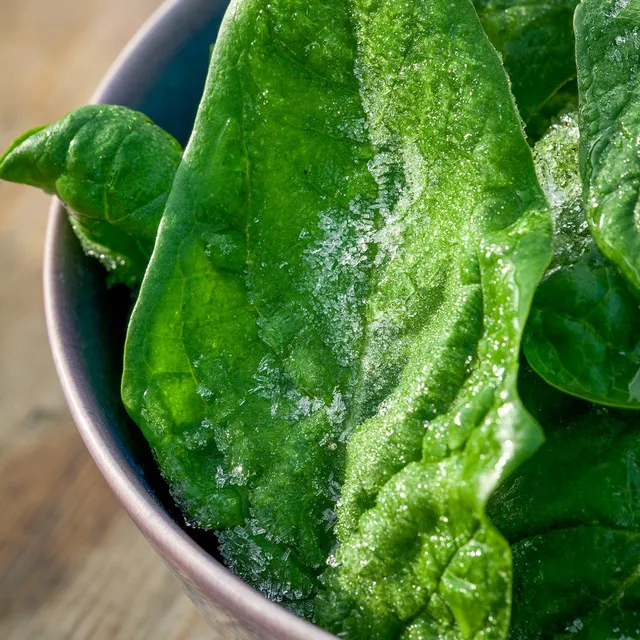Sarah Raven Seeds Spinach Giant Winter Saatgut 250 Samen