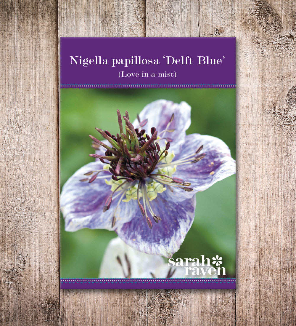 Sarah Raven Seeds Nigella Delft Blue Samen 200 Samen blau