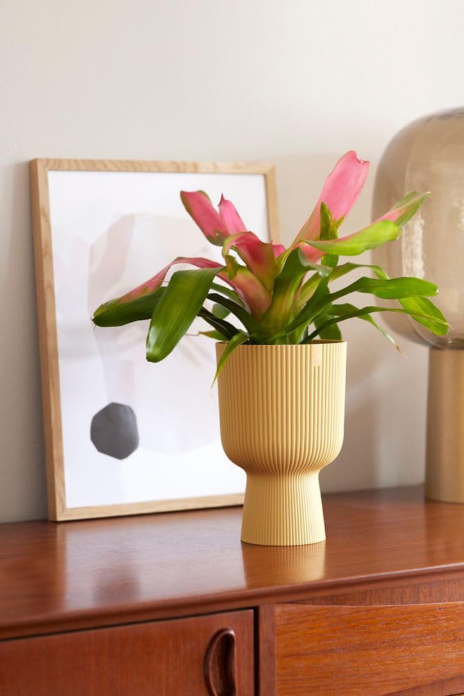 elho Vibes Fold Coupe 14 Blumentopf gelb Buttergelb 13,9 cm