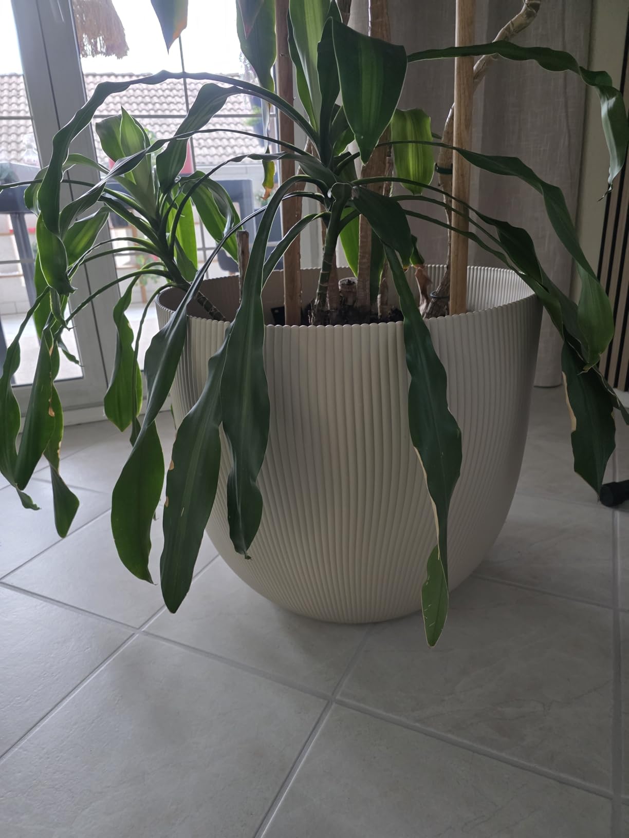 elho Sereh Rund 47 cm Blumentopf Mushroom Beige frostbeständig