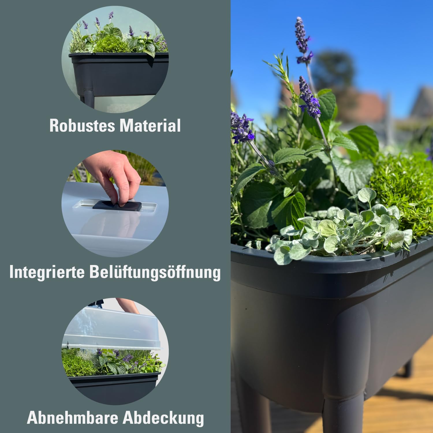 Prosperplast Bloomo Hochbeet Anthrazit 78 cm mit Deckel