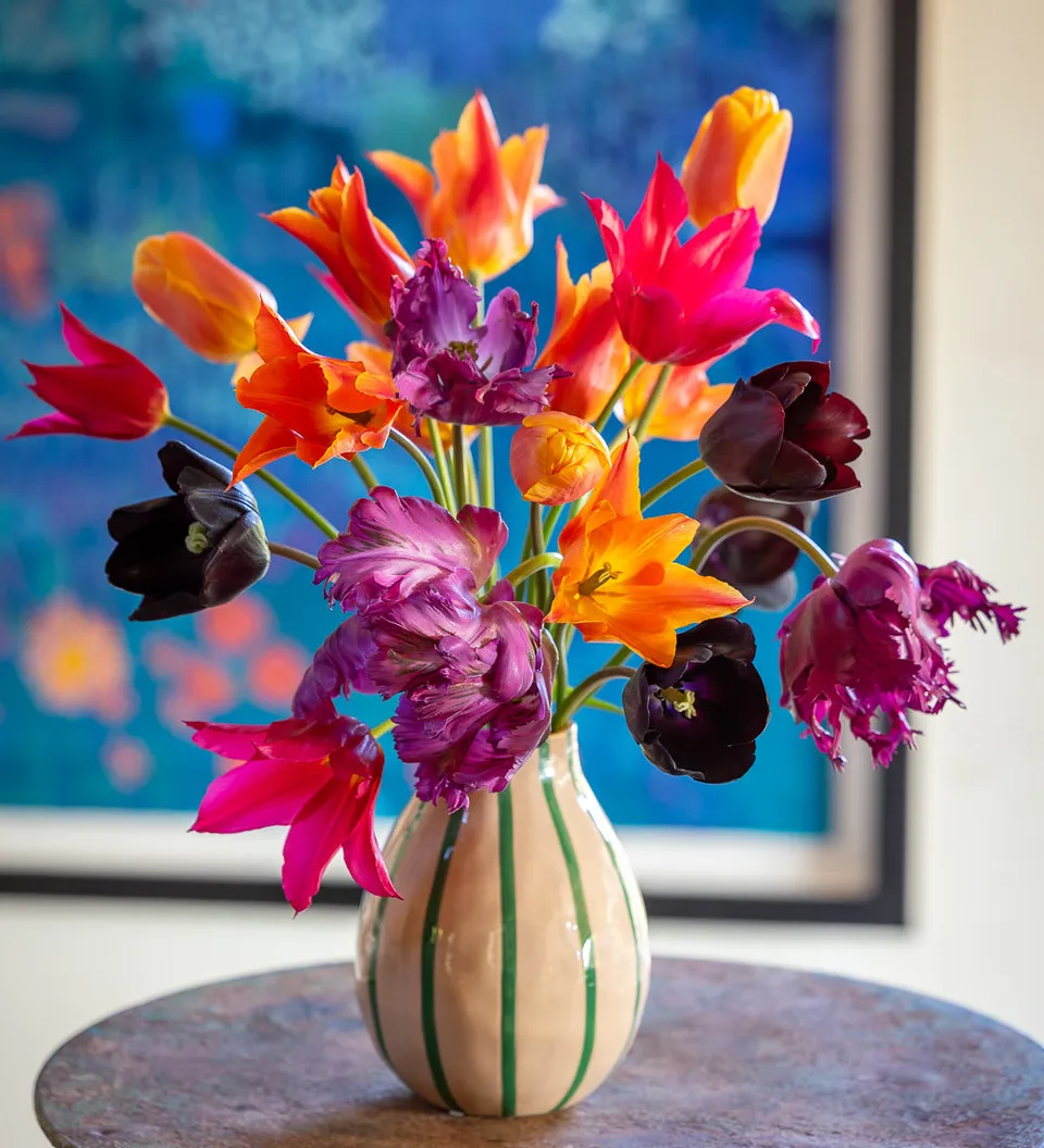Sarah Raven Bulbs Arit Anderson Tulip Collection 40 Blumenzwiebeln