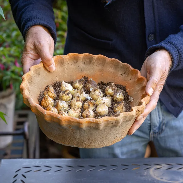 Sarah Raven Pie Crust Terracotta Schale Klein 25cm