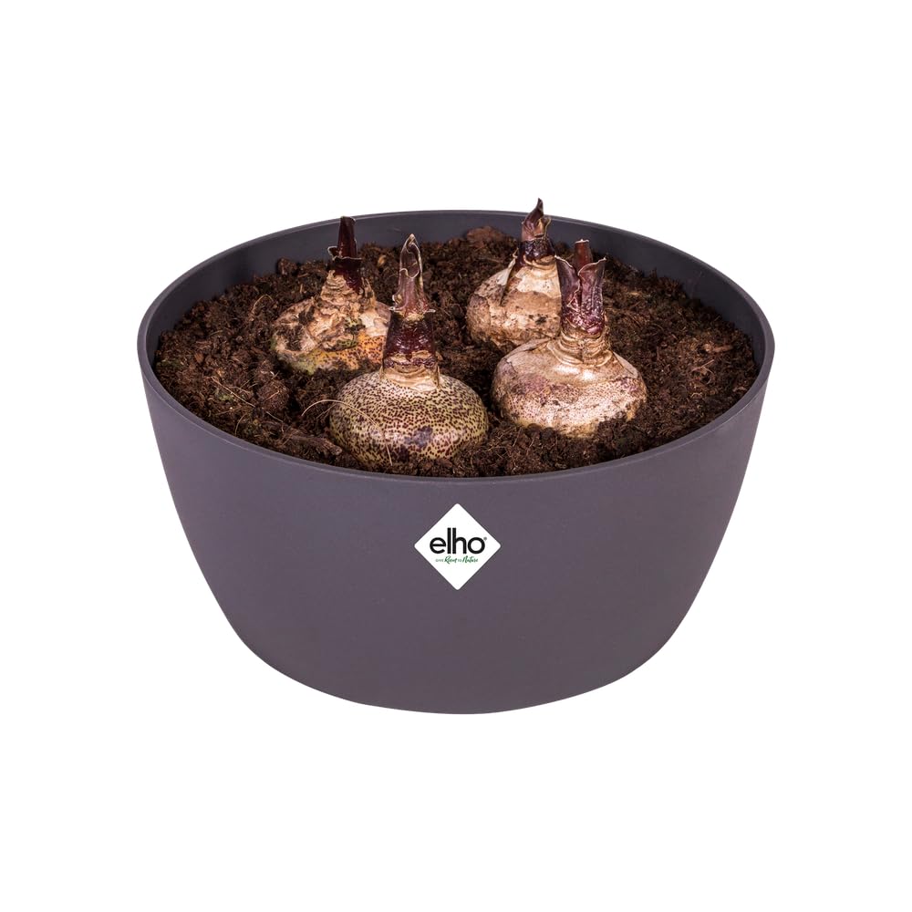 elho Brussels Pflanzschale Anthracite 23 cm wasserdicht