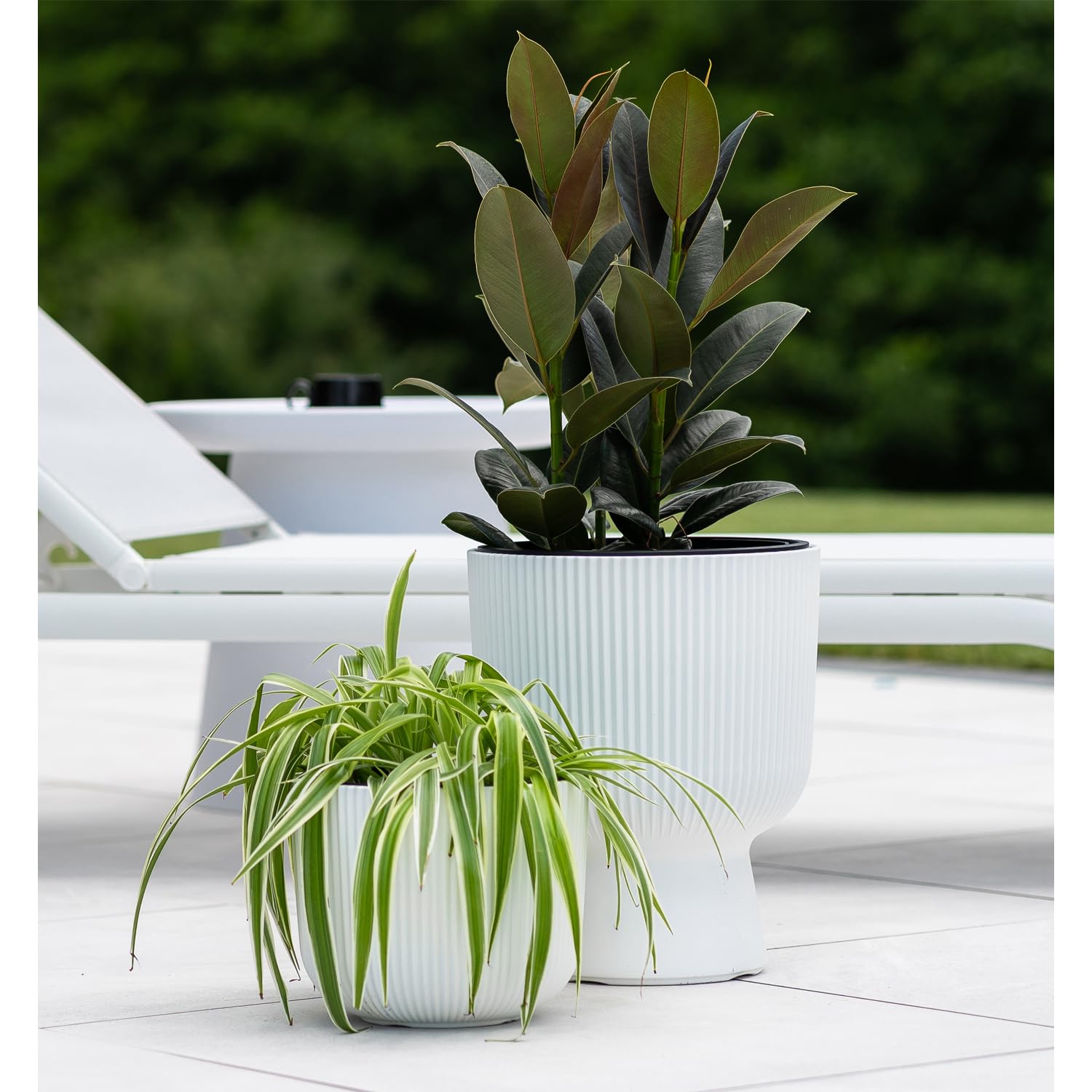 Prosperplast Milly Blumentopf Weiß 23,9 x 30,5 cm mit Einsatz