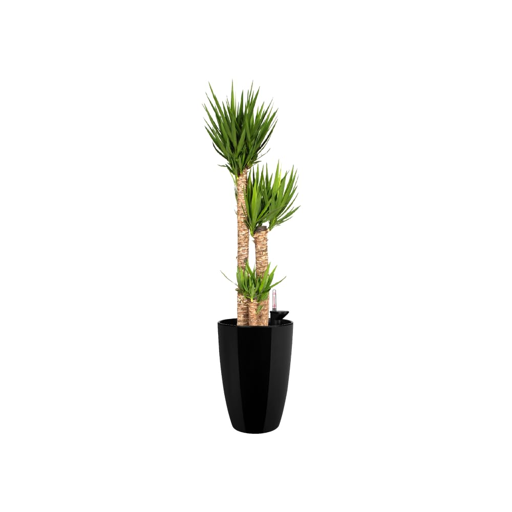 elho Brussels Diamond Blumentopf Hoch 27 Schwarz Metallic Ø27