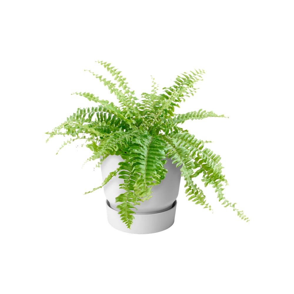elho Greenville Easy Hanger 19,5 Balkontopf Weiss