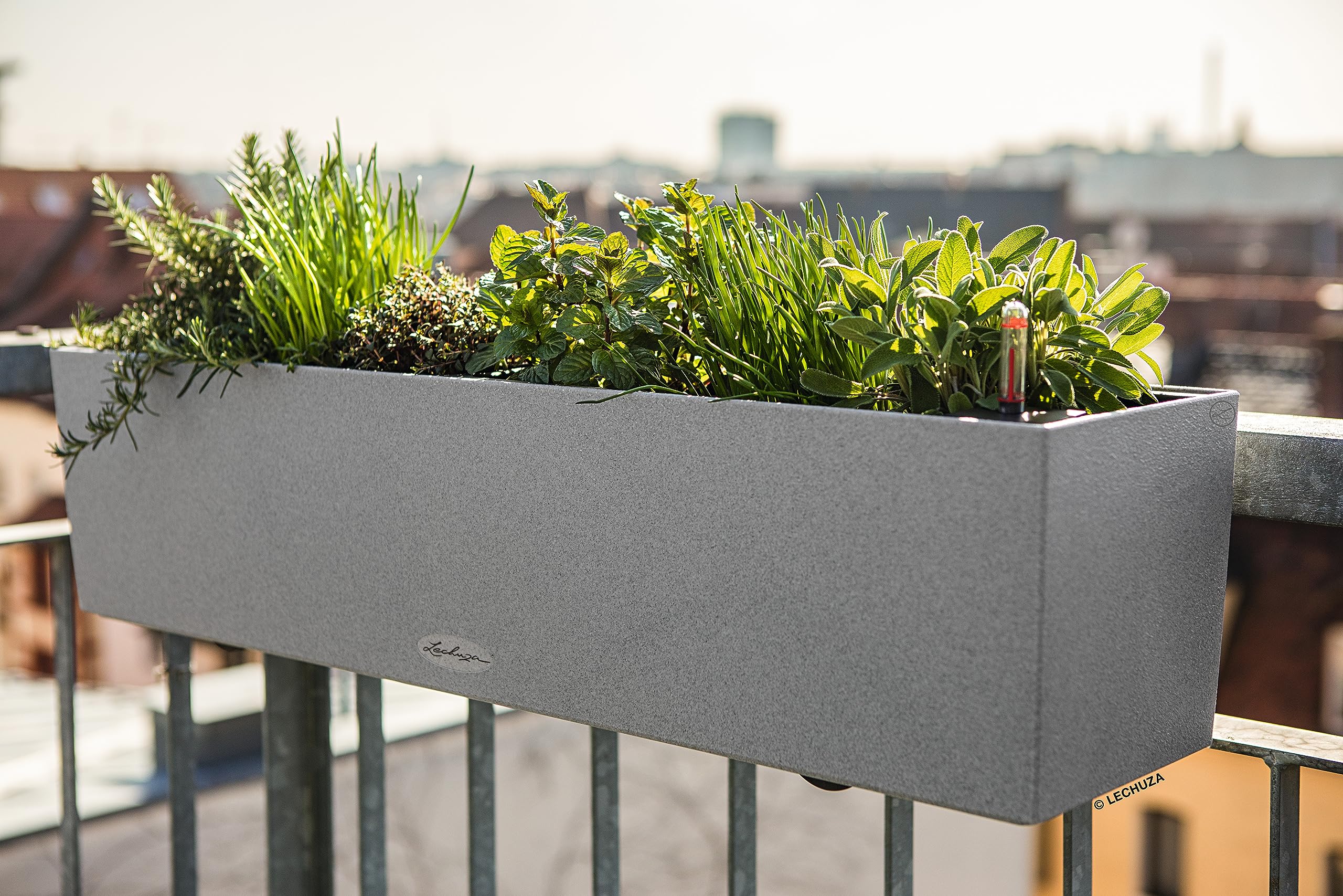 Lechuza Balconera Stone 80 Balkonkasten steingrau Bewässerung