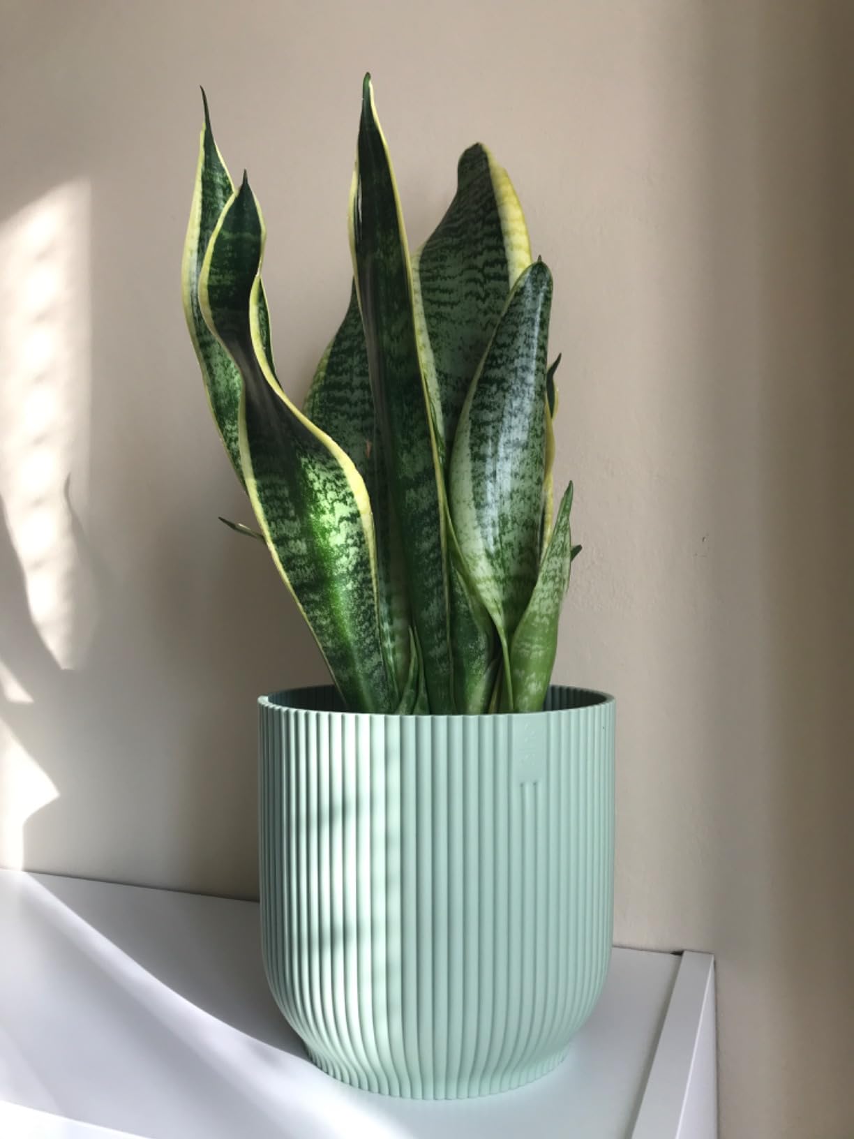 elho Vibes Fold 22 cm Blumentopf Linen White für innen