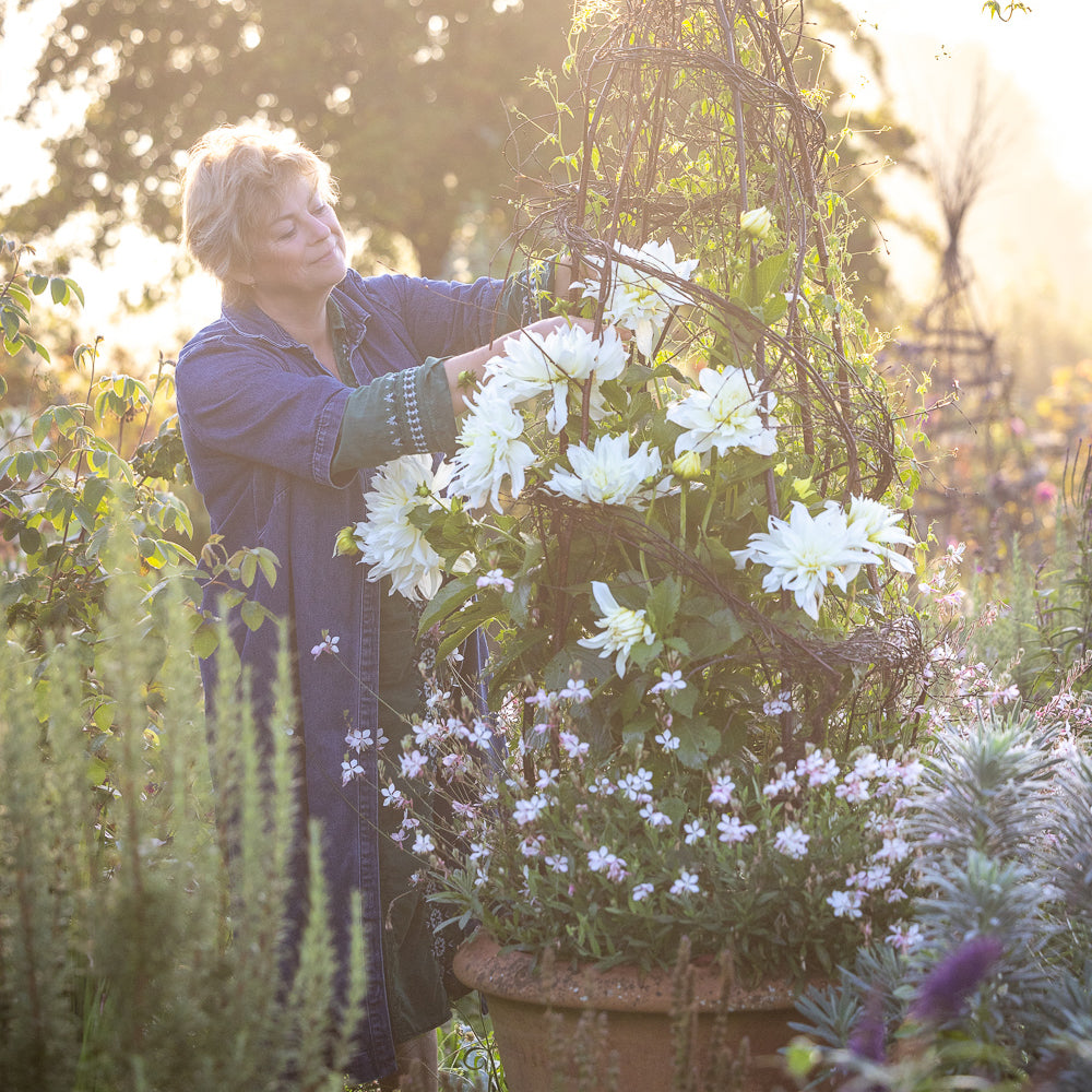 Sarah Raven Perch Hill Dahlia Day Kurs 18. September Dahlien
