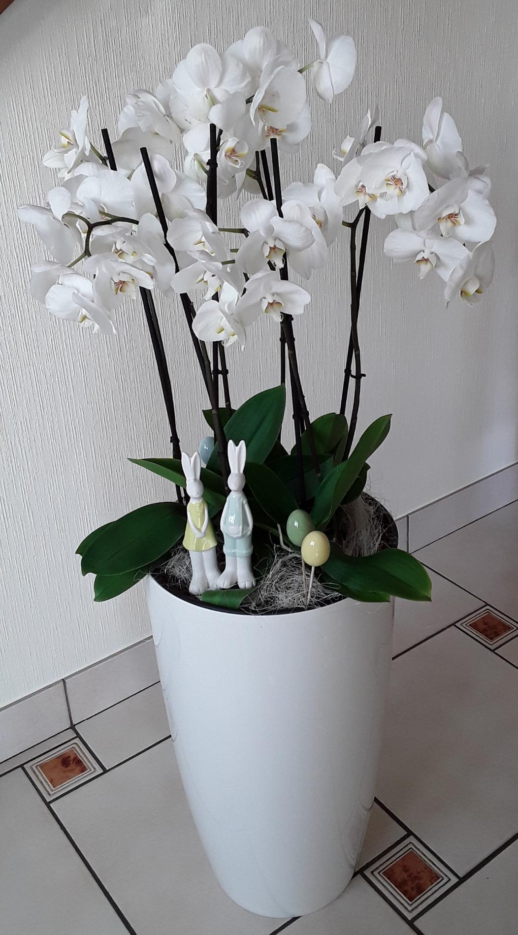 elho Brussels Diamond Blumentopf Hoch 27 Schwarz Metallic Ø27