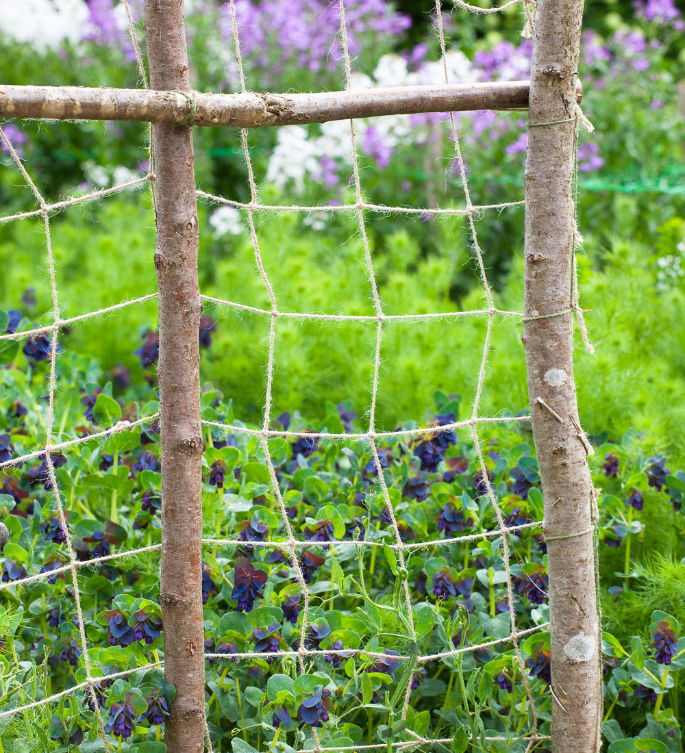 Sarah Raven Natural Jute Netting Ranknetz Jute Mittel