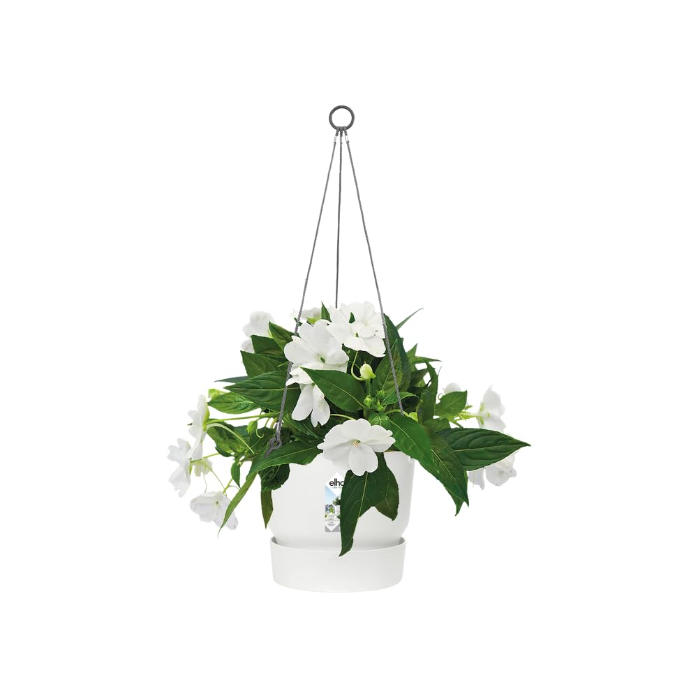 elho Greenville Hängeampel 24cm Weiß mit Untersetzer