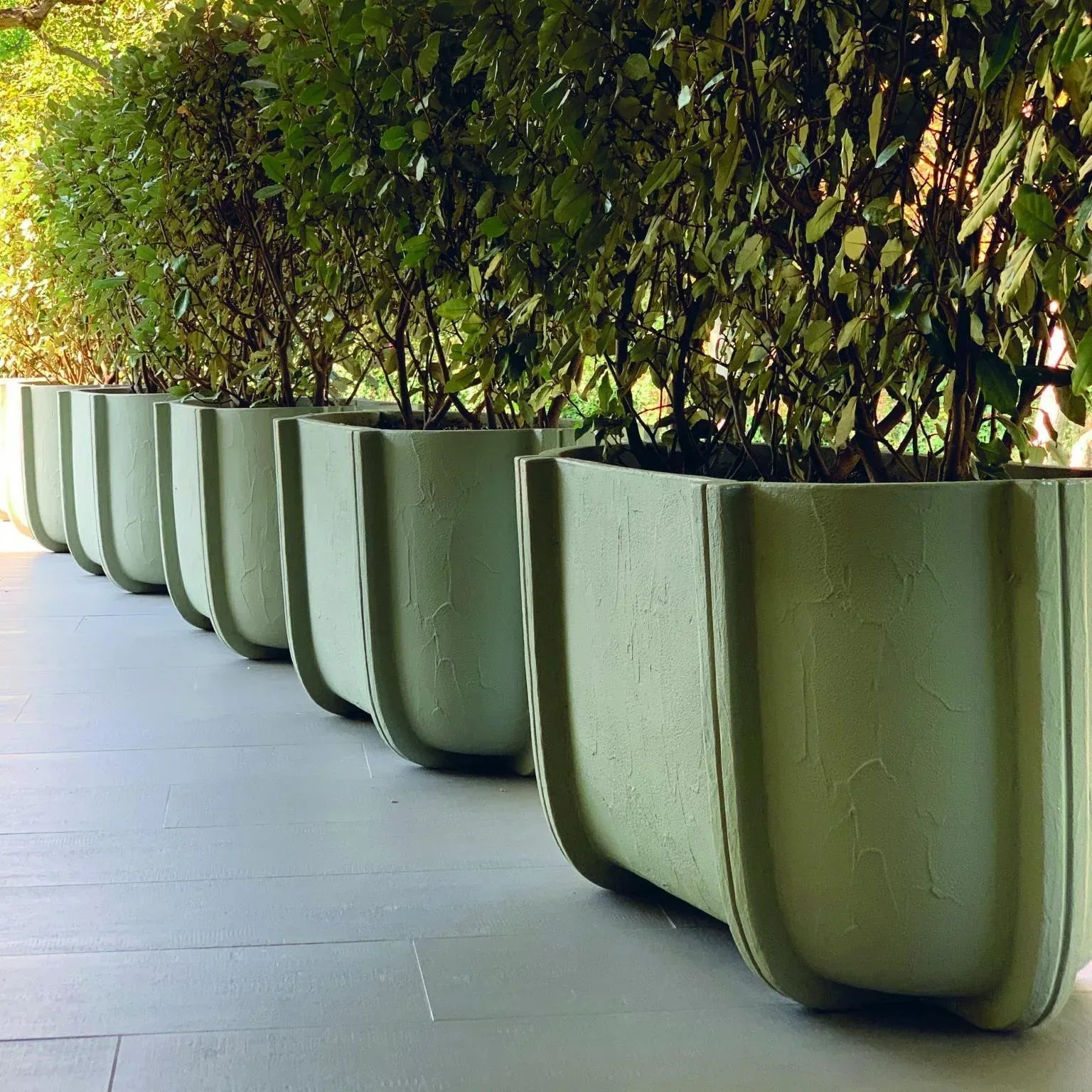 Serralunga Cassero Long Pflanztopf Salvia oval Betonoptik