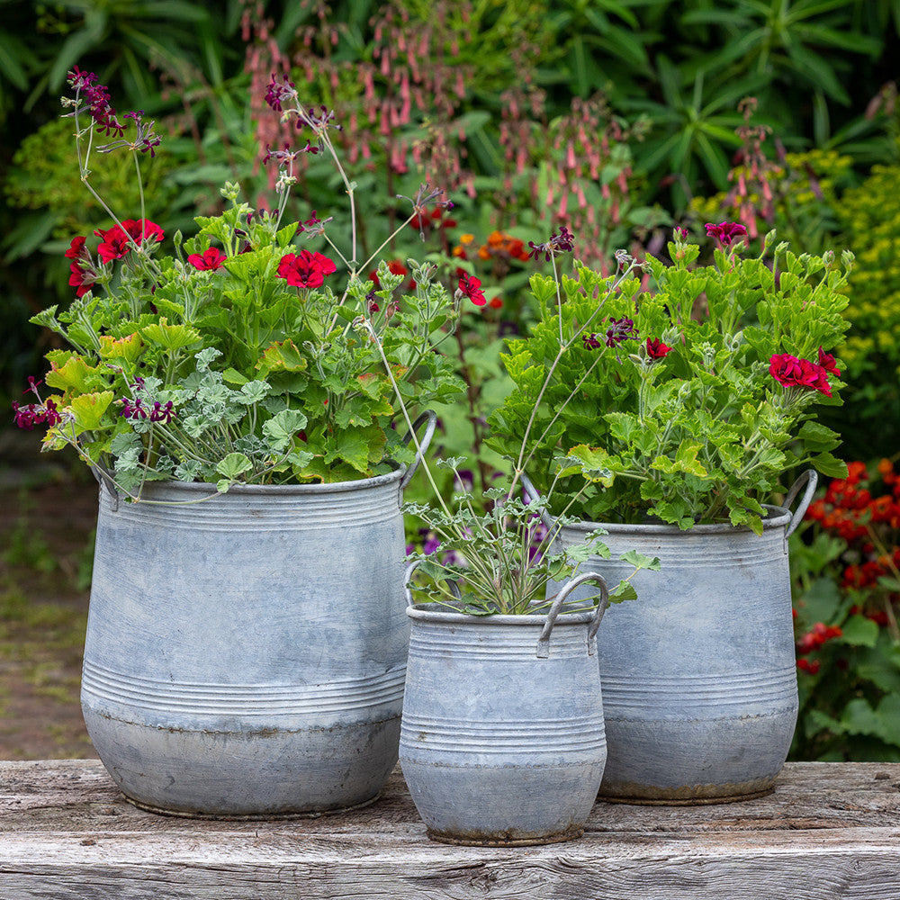 Sarah Raven Gardening Zinc Barrel Pflanztopf Zink 3er Set rund